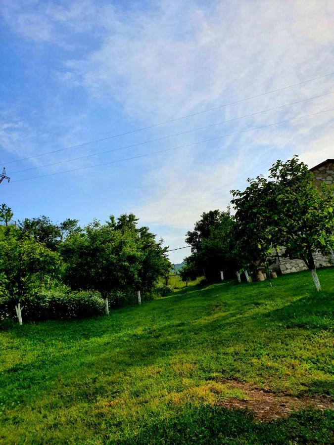 Guest House Ijevan's Garden Extérieur photo
