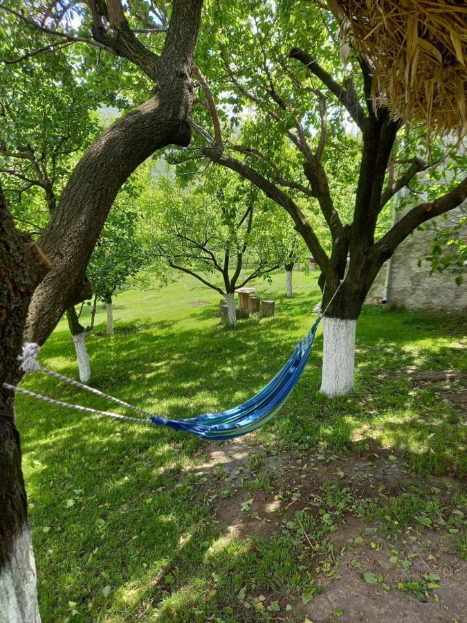 Guest House Ijevan's Garden Extérieur photo