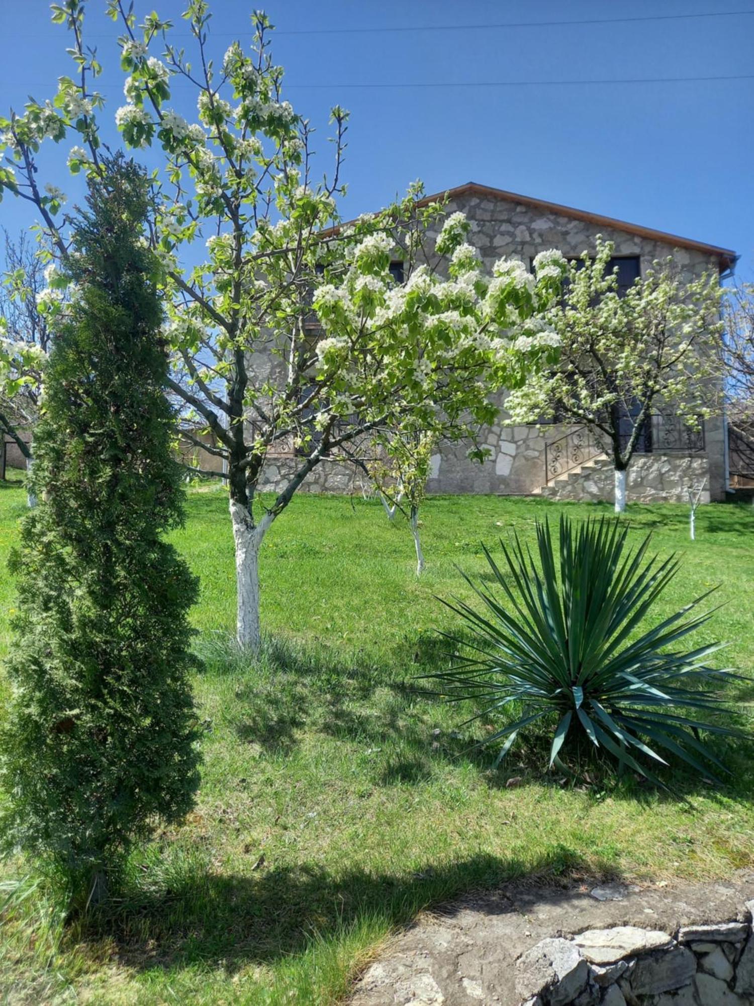 Guest House Ijevan's Garden Extérieur photo
