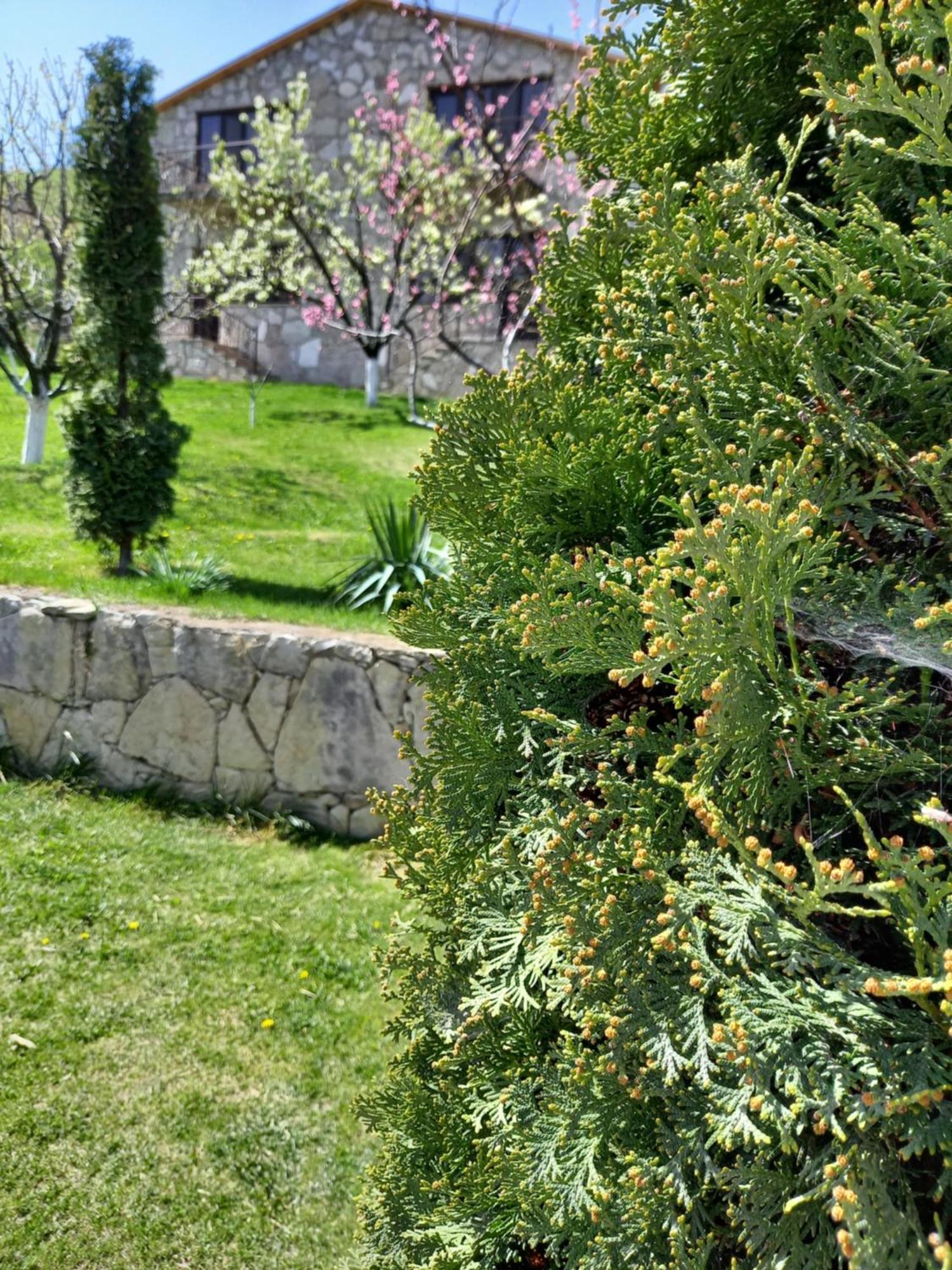 Guest House Ijevan's Garden Extérieur photo