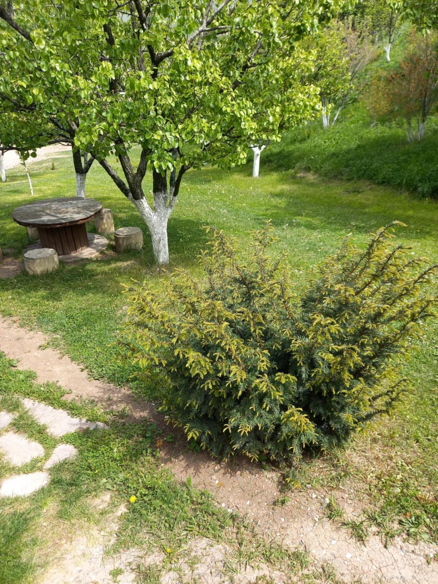 Guest House Ijevan's Garden Extérieur photo