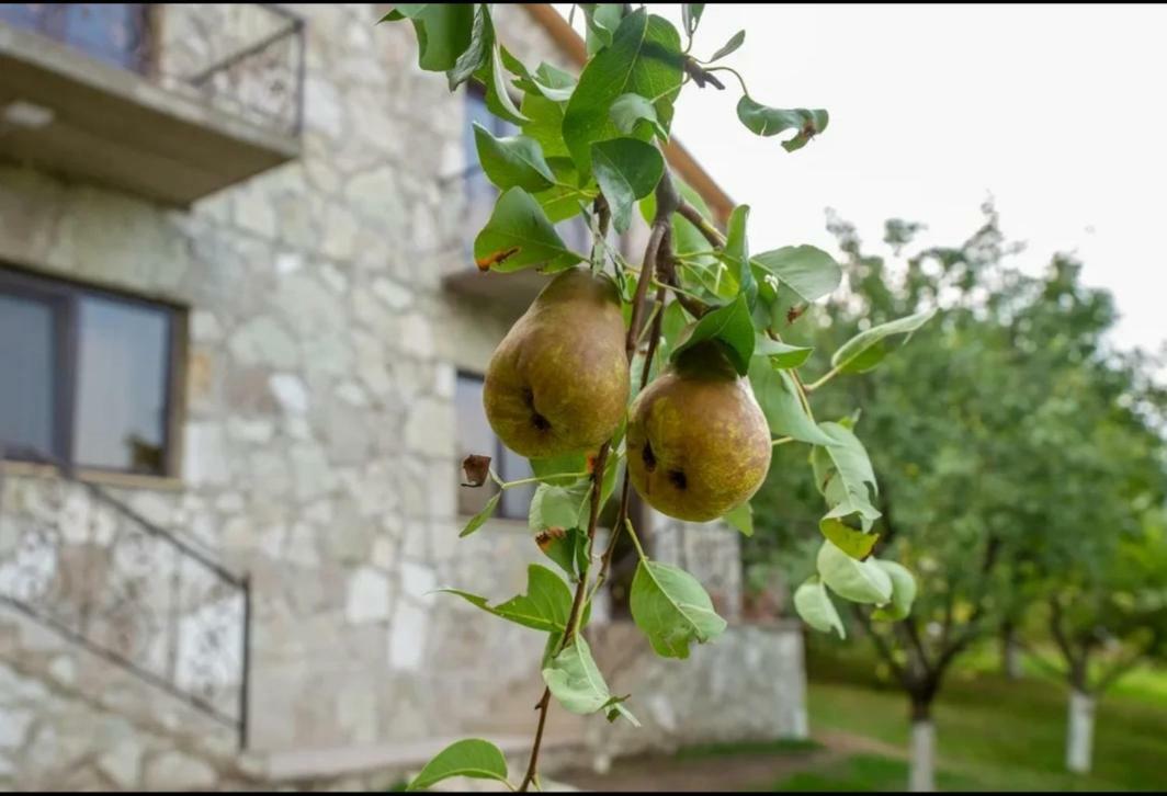 Guest House Ijevan's Garden Extérieur photo